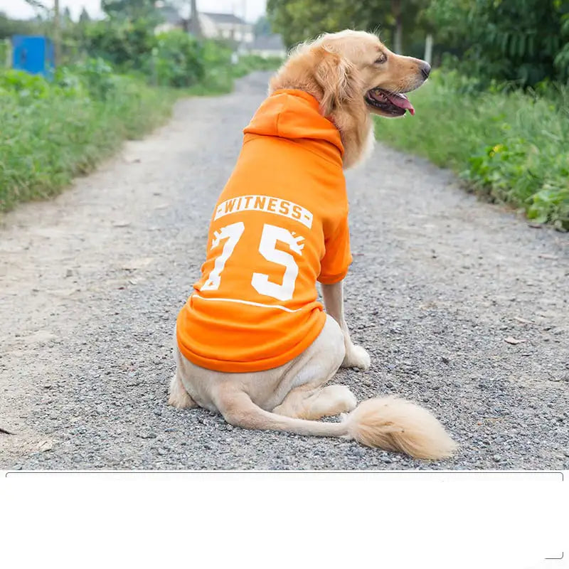 Medium & Large Dog Vest Pet Apparel